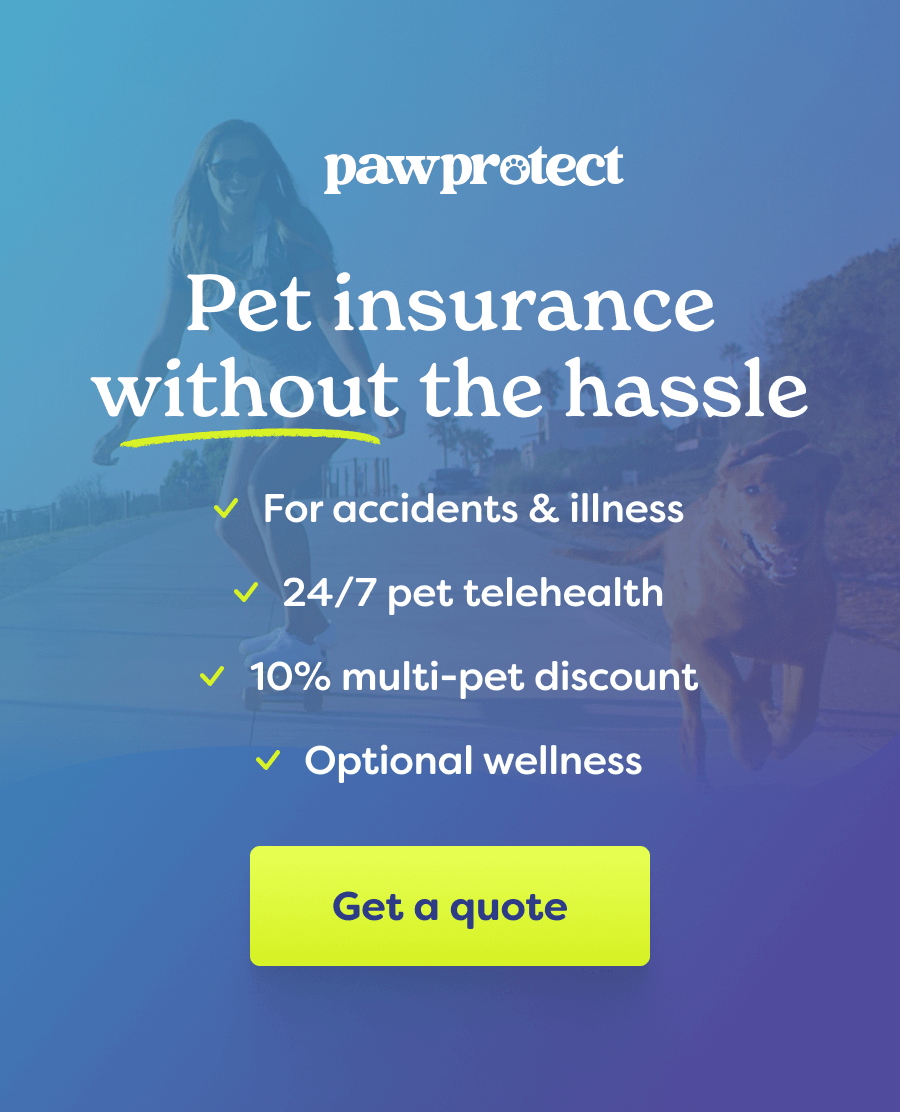 Get a quote on pawprotect