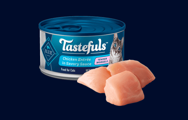 Blue Buffalo Tastefuls Wet Cat Food