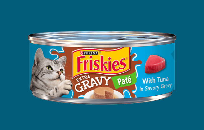 Purina Friskies Extra Gravy Wet Cat Food