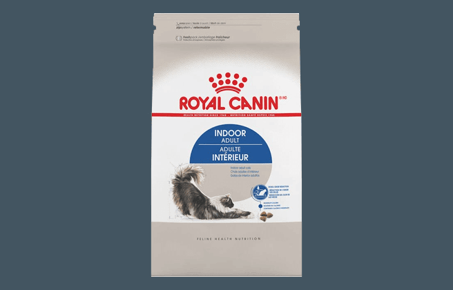 Royal Canin Dry Cat Food