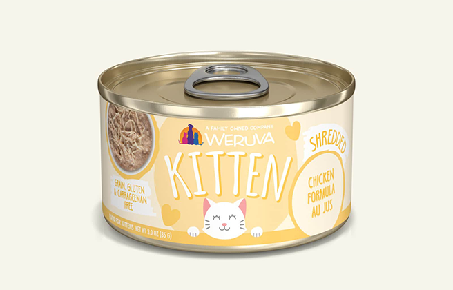 Best Wet Kitten Food | Cat Food Advisor