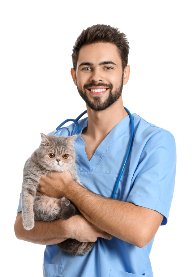 Vet with cat