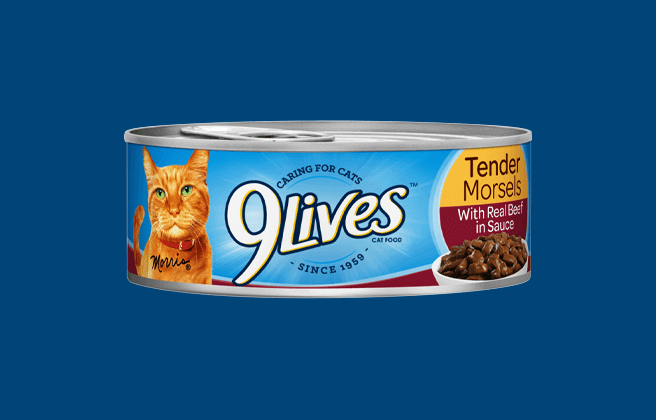 9Lives Tender Morsels Wet Cat Food