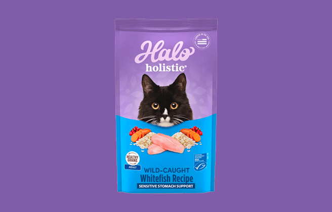 Halo Holistic Dry Cat Food
