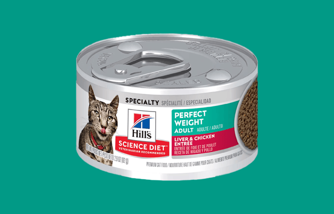 Hill’s Science Diet Wet Cat Food
