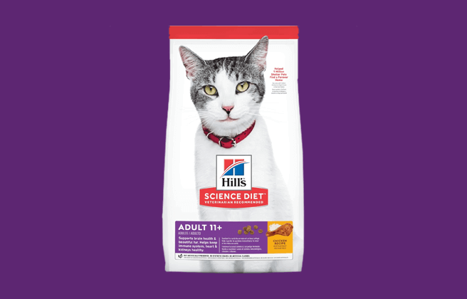 Hill’s Science Diet Dry Cat Food