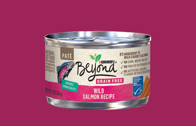 purina beyond wild