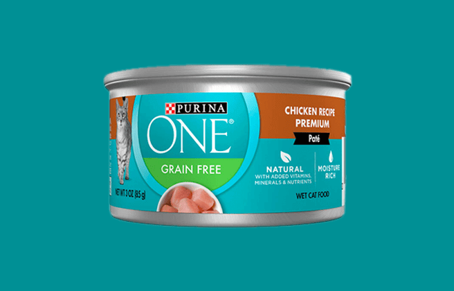 Purina ONE Wet Cat Food