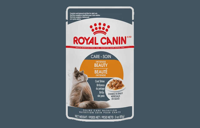 Royal Canin Wet Cat Food