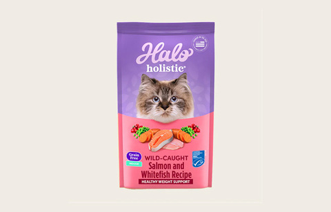 Best Cat Food for Weight loss Cat Food Advisor