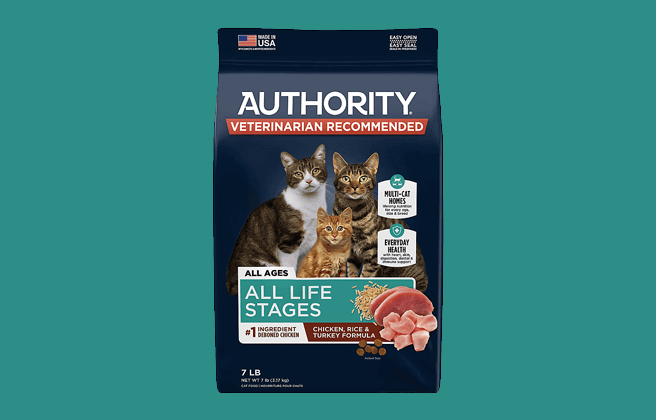 Authority All Life Stages
