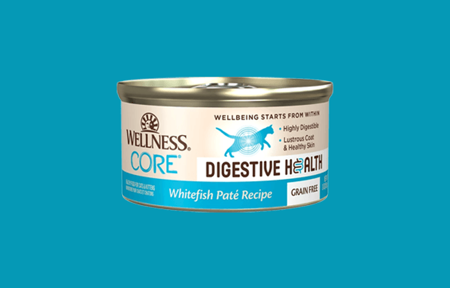 Wellness CORE Digestive Health Paté Wet Cat Food