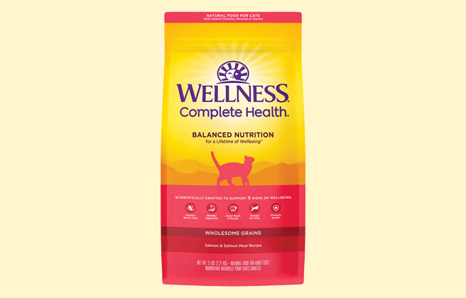 Wellness Complete Health (dry)