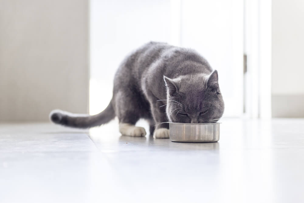 What’s the difference between organic and natural cat food?