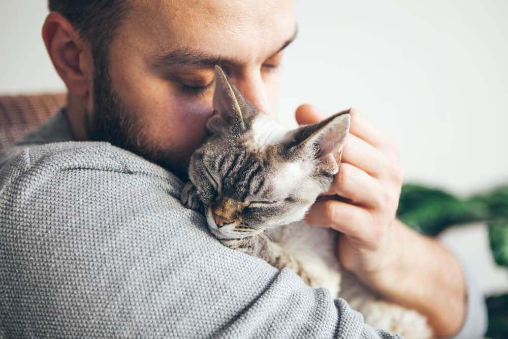 Why do cats purr?